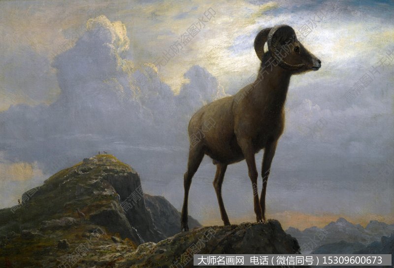 比尔史伯特 油画作品55高清图片下载 羚羊