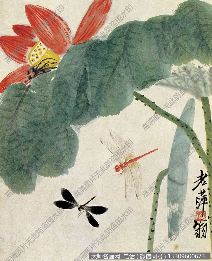 齐白石《荷花蜻蜓》国画作品高清61下载