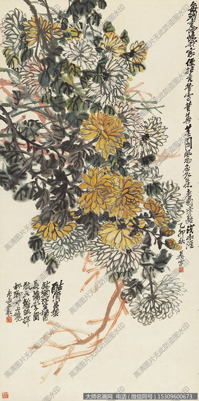 吴昌硕《老菊疏篱》国画作品高清下载