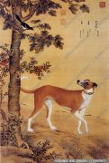 郎世宁作品《十犬图7-茹黄豹》高清大图下载